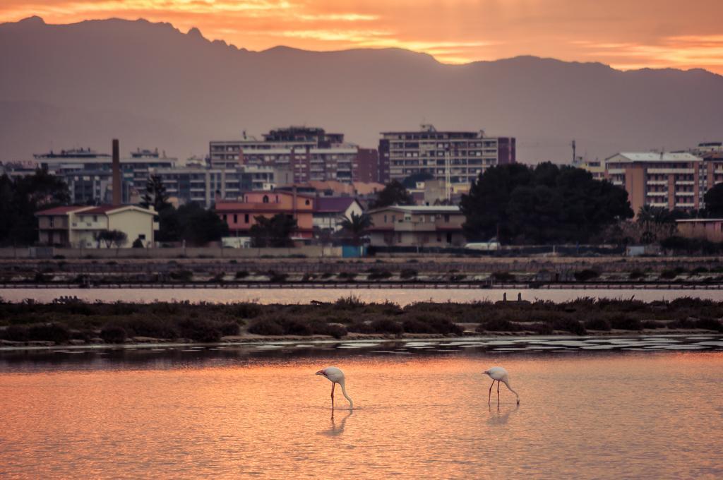 Il Gallo Bianco Cagliari